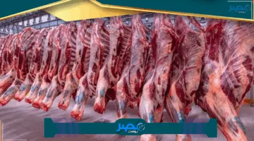 تراجع أسعار الفراخ اليوم.. أحدث أسعار اللحوم والدواجن والأسماك الإثنين 2 يونيو 2025
